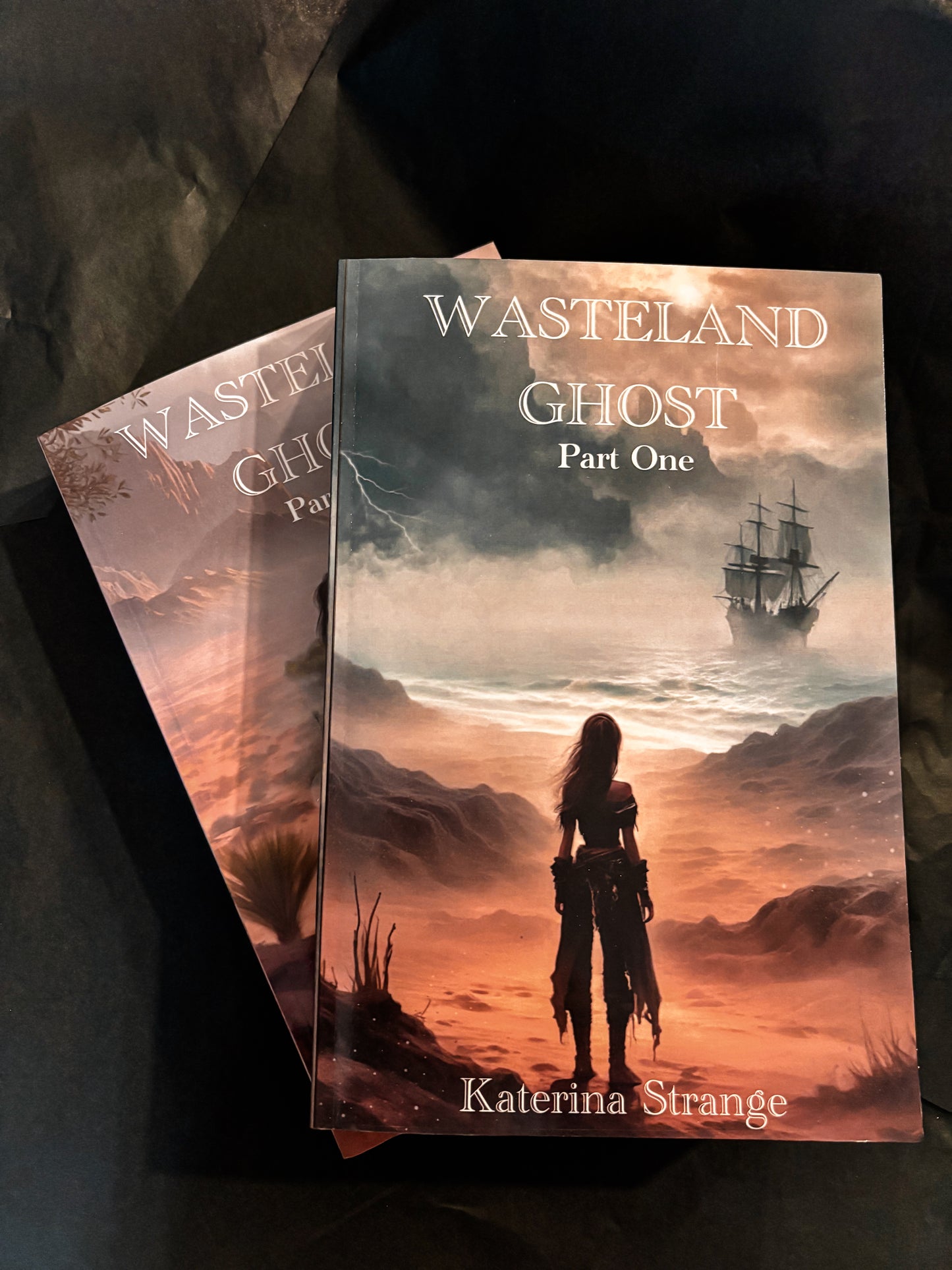 WASTELAND GHOST: BOOK SET (1 & 2)